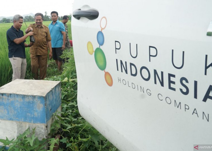 Membaca Tanah, Menjaga Masa Depan Sawah di Desa Suwaloh