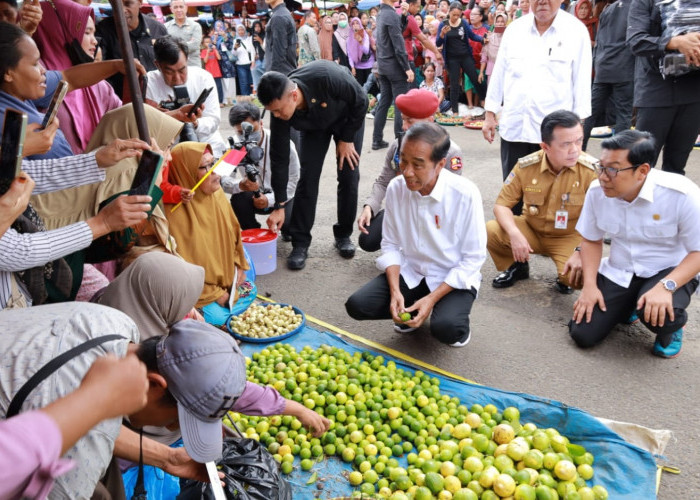 Presiden Jokowi Meninjau Harga Sembako di Pasar Muara Bungo 