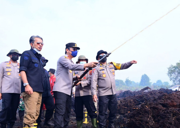 Pemilik Lahan Gambut Terbakar Ditetapkan Tersangka