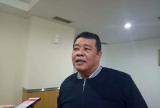 Bestari Barus Sowan ke Jokowi Sebelum Resmi Gabung PSI