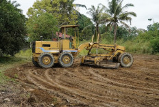 MBG di 4 Kabupaten Belum Berjalan