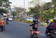 Tambah Durasi Penyiraman Tanaman di Kota Jambi Mengering