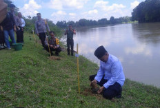 Tebo Gelar Aksi Penghijauan 