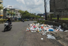 Ada 22 Kasus Sanksi Denda Bagi Pembuang Sampah Sembarangan di Kota Jambi