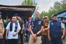 Didampingi Bupati Anwar Sadat, Menteri Sandiaga Uno Kunjungi Wisata Mangrove