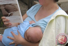 IDAI Klarifikasi Sejumlah Mitos Keliru Terkait Pemberian MPASI pada Bayi