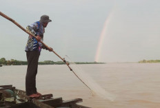 Suhu Panas Mencapai 34°C, BMKG Imbau Warga Jambi Tetap Waspada dan Hemat Air