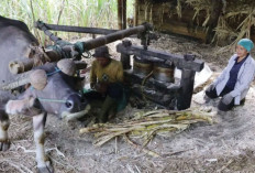 Puluhan Tahun Jalani Usaha Pembuatan Saka