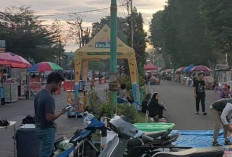 Car Free Night Bungo Diharapkan Tingkatkan Perekonomian