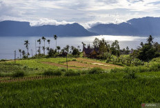 BMKG: Aktivitas Segmen Kajai–Talamau Berpotensi Picu Tsunami Danau Maninjau