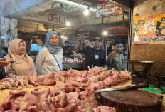 Harga Pangan Naik Turun, Daging Ayam Jadi Sorotan