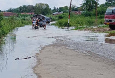 Debit Sungai Batanghari Naik 8 CM dan Masuk Siaga III, Banjir Kembali Hantui Warga Kota Jambi