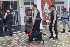 Polda Jambi Turunkan Tim K-9