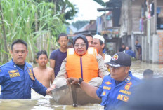 2.570 HLahan Pertanian Terdampak Banjir, 6 Kab/Kota Berstatus Tanggap Darurat