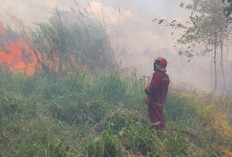 10 Hektar Lahan di Jambi Timur Terbakar 