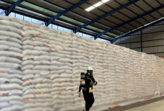 Akan Bangun Gudang Bulog di 3 Daerah, Tambah Kapasitas Penyimpanan dan Maksimalkan Penyerapan Gabah