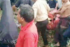 Arihadian Tenggelam di Sungai Batanghari