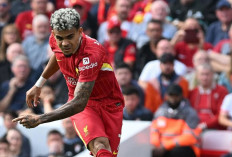 Bayern Munich Siapkan Tawaran Baru untuk Luis Diaz