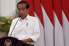 Jokowi Bantah Ingin Rebut PDIP dan Golkar