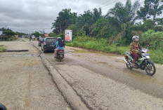 Jalan Lintas Tebo - Rimbo Bujang Rusak 