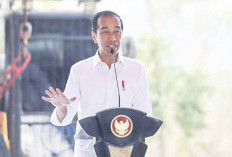 Presiden Jokowi Ajak Pengusaha Ikut Bangun IKN