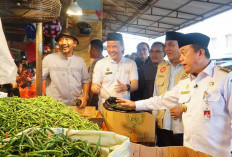 Cabai Lokal Mulai Masuk Pasar Bantu Stabilkan Harga di Pasaran