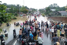 Jalan Lintas Sumatera Lumpuh, Akses Padang-Jambi Terganggu