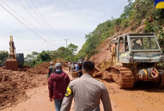 BPJN Jambi Targetkan Lalu Lintas Kerinci- Bangko Hari Ini Bisa Dilalui, Masih Terjadi Pergerakan Tanah Lereng 