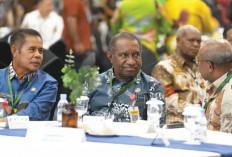 Gubernur Papua Minta Pemda Terapkan Program RIPPP Dan SIPPP