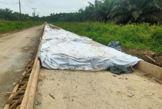 Tanjabtim Terus Koordinasi Penyelesaian Jalan Inpres