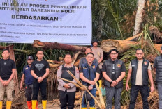 Bareskrim Polri Ambil Sampel 27 Kayu di DAS Garoga Sumut