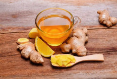 Jamu Bermanfaat Sebagai Penyeimbang Sistem Tubuh dan Pencernaan