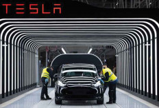 Survei IMD: Tesla Tetap Jadi Pabrikan Mobil Paling Inovatif