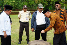 Tinjau Proyek Museum Candi