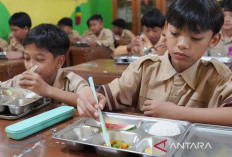 Kemendikdasmen Paparkan Strategi Integrasi Edukasi Gizi dalam Program Makan Bergizi Gratis