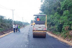 Warga Sambut Gembira Pembangunan Jalan Ke Sentra Produksi Nanas 