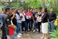 Atraksi Gajah Memukau di Nong Nooch dan Lawatan ke Eerawadee