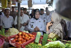 Pasokan Pangan Melimpah Kota Jambi Kembali Alami Deflasi