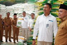 19 Ribu KPM Akan Terima Bantuan Beras dari Pemerintah