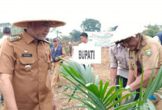 Penyuluh Pertanian Jadi Faktor Kunci Kesuksesan Program Prowitra