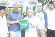 Bank Jambi Qurban 39 Sapi dan 4 Kambing