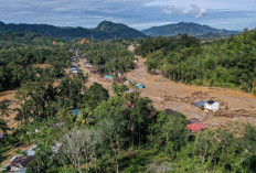 Hutan, Benteng Pertahanan yang Diam-diam Menjaga Indonesia