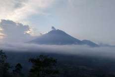 Gunung Semeru Erupsi dengan Tinggi Letusan 600 Meter