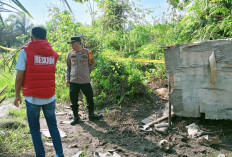 Warga Temukan Diduga Tengkorak Manusia di Kebun Sawit 