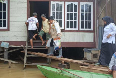 Gubernur Tinjau Banjir di Kasang dan Seberang Minta Masyarakat Waspada