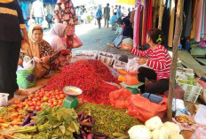Harga Cabai Merah di Tanjabtim Meroket hingga Rp100 Ribu per Kilogram
