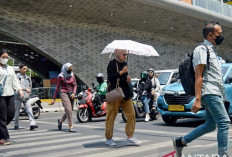 Atur Aktivitas untuk Menghindari Heatstroke saat Cuaca Panas