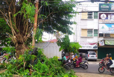 Kabel Menjuntai di Beringin Makan Korban, Pengantin Baru Tewas Kesetrum