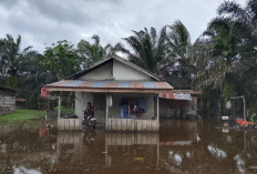 Tiga Hari Hujan, Sejumlah Wilayah Tanjabtim Tergenang Banjir