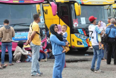 Kemenhub Siapkan 3.500 Kursi Bus 